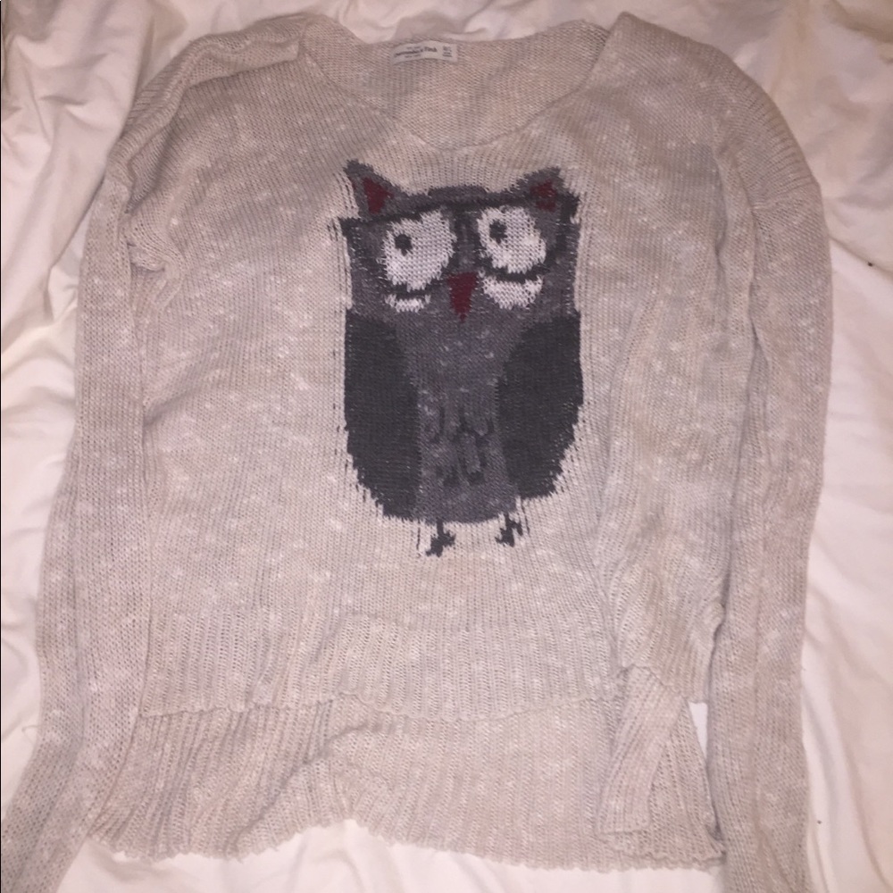 Abercrombie and Fitch Cream/White Owl Sweater
